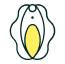 Vulva