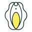 Vulva