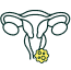 Vagina